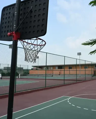 Basket Ball Img